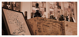 BMO株式会社 会社概要