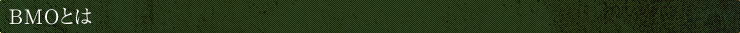 BMOとは